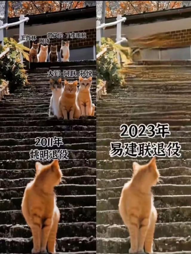 1694995356237024046.jpg MK体育资讯-【男篮世界杯白皮书】篮球公务员与伪职业联赛